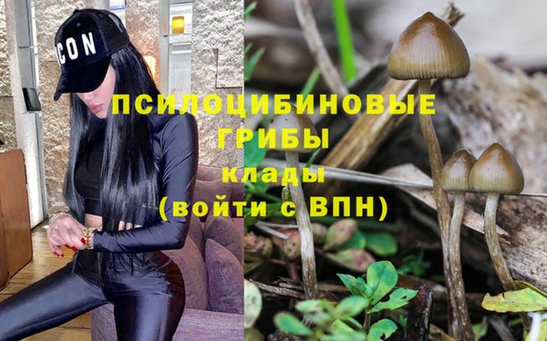 ALPHA PVP Абинск